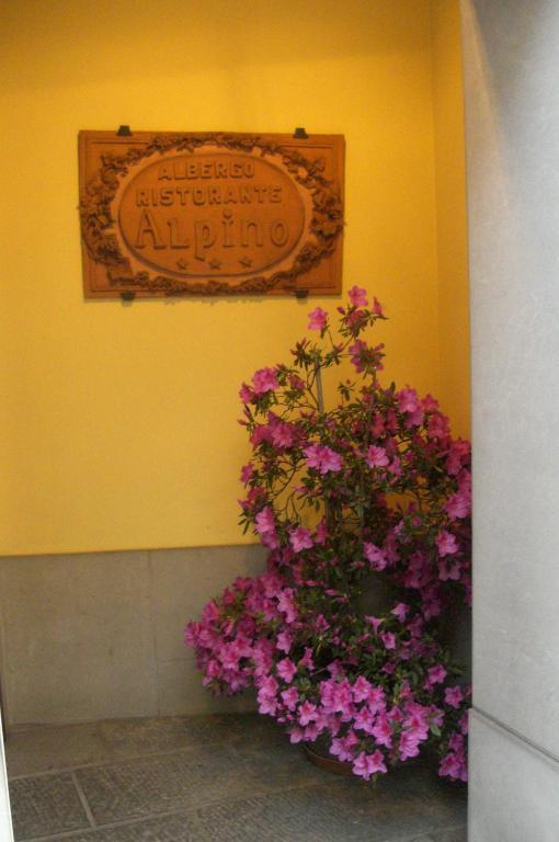 Hotel Alpino Barga Exterior photo